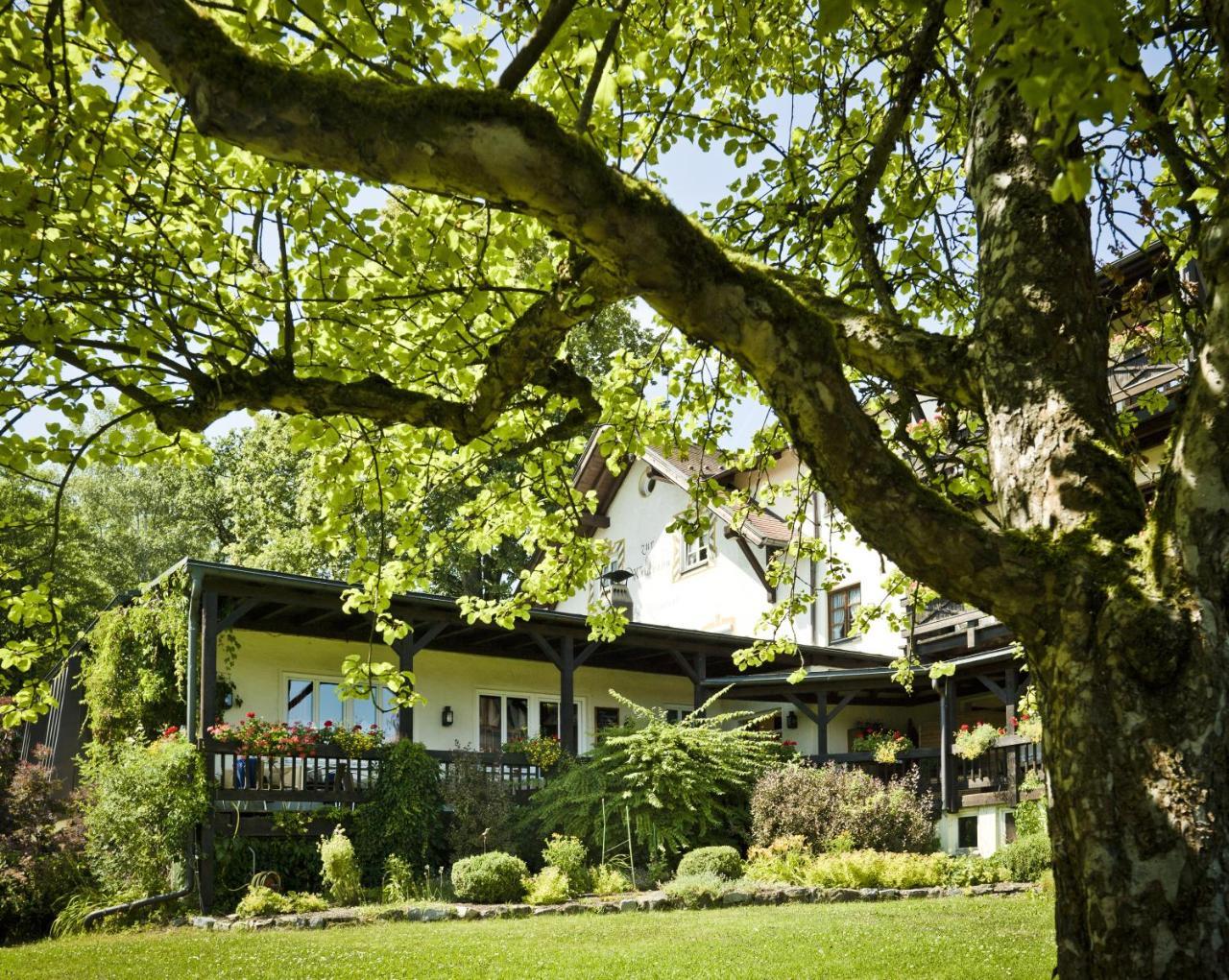 Hotel Zur Waldbahn تزفيسل المظهر الخارجي الصورة
